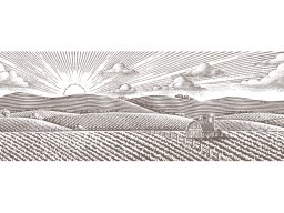 farming landscape